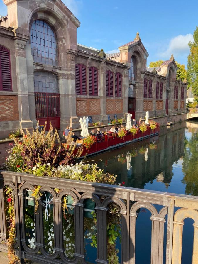 Alsace Clim Pres Colmar Jardin Balcon Parking Garage Velos, Motos Oberhergheim Экстерьер фото