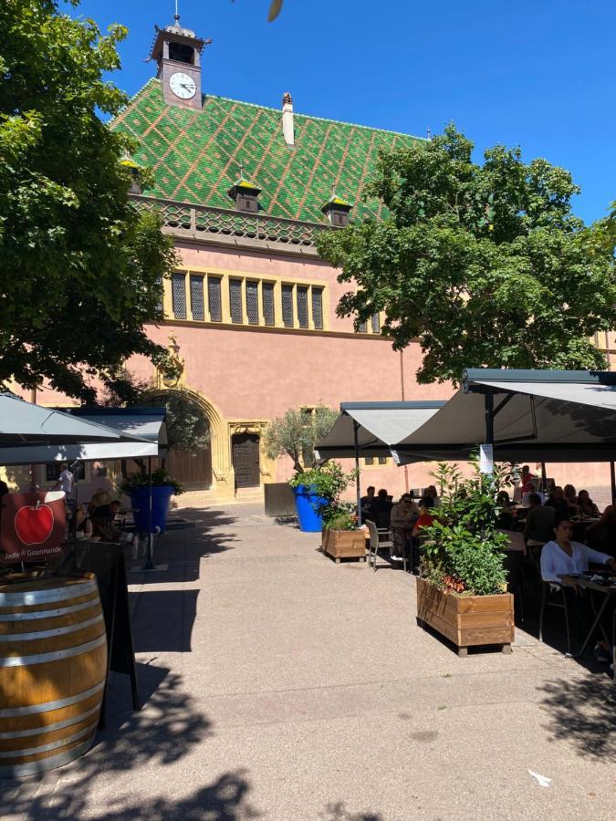 Alsace Clim Pres Colmar Jardin Balcon Parking Garage Velos, Motos Oberhergheim Экстерьер фото